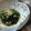 きなこりん's cooksnap of when they made 小松菜とアミの塩辛の炊いたん☆.