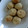 もにめん's cooksnap of when they made お～とうふもちもちどーなつ♪.
