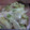 kokakokko's cooksnap of when they made ５分で完成～レタスのツナ炒め～.