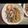 あきあっきーな's cooksnap of when they made ごぼうとちくわのマヨめんつゆ炒め.