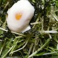 ままんき's cooksnap of when they made 水菜と韓国海苔のサラダ風.