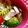 ＊＊まゆゆ＊＊'s cooksnap of when they made ブロッコリーとエリンギのクレソル炒め.