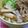 ママフィオ's cooksnap of when they made ［ベジ］油そば（ラーメン）.