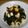 なっぱむし's cooksnap of when they made あと1品に…わかめとちくわの炒め物.