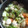 ☆しいたんママ☆'s cooksnap of when they made 鶏と野菜のさっぱり煮☆あんかけ仕立て.