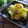まろんかふぇ's cooksnap of when they made 白菜の簡単漬け★.