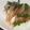 きらり流れ星's cooksnap of when they made アジの刺身の胡麻和え.