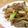 犬くんし's cooksnap of when they made 牛すじ炒め.