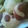っるみん's cooksnap of when they made 簡単*サクサクココアクッキー.