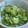 max4995's cooksnap of when they made 茎わかめと柚子コショウの和え物.