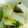 まぃたすο's cooksnap of when they made カジキマグロと白菜と大葉の柚子胡椒炒め.