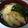 まほじょ's cooksnap of when they made 優しい味 若竹うどん.