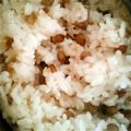 mikimatsu's cooksnap of when they made レンティルごはん.