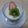 お菓子と女大工's cooksnap of when they made 簡単！とろ～りヨーグルトゼリー.