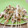 aikomi's cooksnap of when they made 焼き鳥 （普通の焼き鶏）.