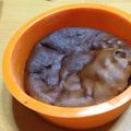 raioneru's cooksnap of when they made 濃厚だけど甘さ控えめ☆ガトーショコラ.