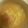 9ma9ma's cooksnap of when they made ＊とろとろキャベツとベーコンの味噌汁＊.