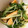 mantacarp's cooksnap of when they made 【簡単・早い】薄揚げと水菜の煮浸し.