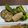 ＊＊天然水＊＊'s cooksnap of when they made めんつゆで簡単！絶品♪夏野菜の焼き浸し.