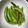 ♬のんのこ日和♬'s cooksnap of when they made お手軽♪スナップえんどうの塩コショー焼き.