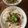 癒しの花's cooksnap of when they made ☆旦那大絶賛☆本格豆乳坦々うどん.