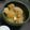 ありんこ９９'s cooksnap of when they made オーソドックスな大根の煮物.