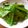 ぶるmom's cooksnap of when they made *うまうま☆絹さやのバタポン炒め*.