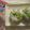 miyuki12's cooksnap of when they made ゆかり豆おにぎり.