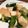 ＊サトコママ＊'s cooksnap of when they made 厚揚げのアサリあん。.