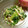 ゆかみお's cooksnap of when they made えのきとほうれん草のごまマヨ和え.