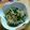 ぁゅち's cooksnap of when they made ツナほうれん草のおひたし～中華バージョン.