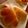 ＠ｈｉｃｈｉ's cooksnap of when they made ■ココナッツミルク de カスタード■.
