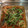 くうぽち's cooksnap of when they made さわらで作る南蛮漬け.