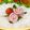 かず☆あん's cooksnap of when they made ＊キャラ弁＊　乙女チックに薔薇のご飯✿.