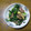 orange_boo's cooksnap of when they made 豚肉とほうれん草のカレー炒め.