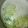 ヒロッチ１'s cooksnap of when they made キャベツのミルク煮～コンソメ～.