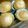 澄流sumire's cooksnap of when they made シュワーっシュークリーム！.