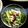 亮ちゃんのご飯☆'s cooksnap of when they made 水菜と豆のサラダ.