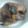 ぢゅんち☆'s cooksnap of when they made ふっくら簡単☆鶏レバーのウェイパー炒め.