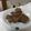 SPI2's cooksnap of when they made 簡単さっくり型抜きクッキー.