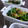 yuijro's cooksnap of when they made ★ほうれん草の味噌と胡桃和え★.