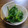 みとー's cooksnap of when they made ほうれん草のシラス和え.
