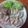 がたびえは's cooksnap of when they made ☆鶏胸肉で手作りハーブハム☆.