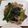 yunkaji's cooksnap of when they made 簡単♪豚バラほうれん草のオイスター炒め.