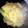 kir mama's cooksnap of when they made 簡単！塩焼きそば.
