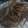 こぶた＾・＠・＾'s cooksnap of when they made いかなご(成魚)唐揚げ.