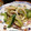 あっぷるぱい23's cooksnap of when they made イカゲソときゅうりの塩いため。.