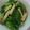 とたまみこさん's cooksnap of when they made チンゲン菜（青梗菜）とエリンギの炒め煮♡.