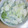 tomcy's cooksnap of when they made 鱈と春雨のさっと煮.