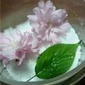 有希-yuki-'s cooksnap of when they made 桜香る☆塩.